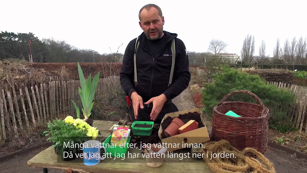 Trädgårdstips med John Taylor - Hur sår man?