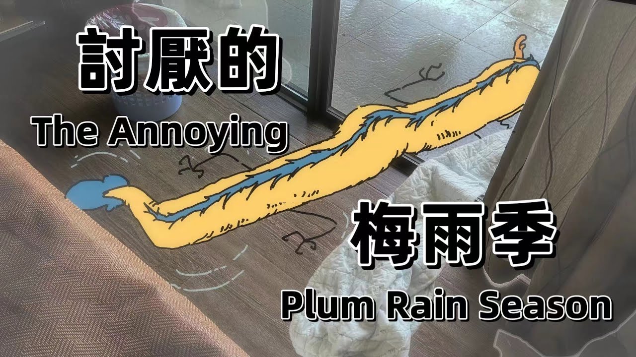 【我的爸爸是條龍】南方的世界不止有苟且，還有溼與遠方。The south is not only about drudgery, but about dampness and distance#原創