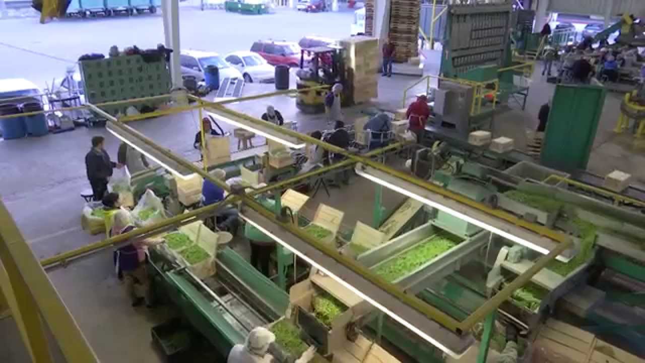 State Farmers Markets of Florida