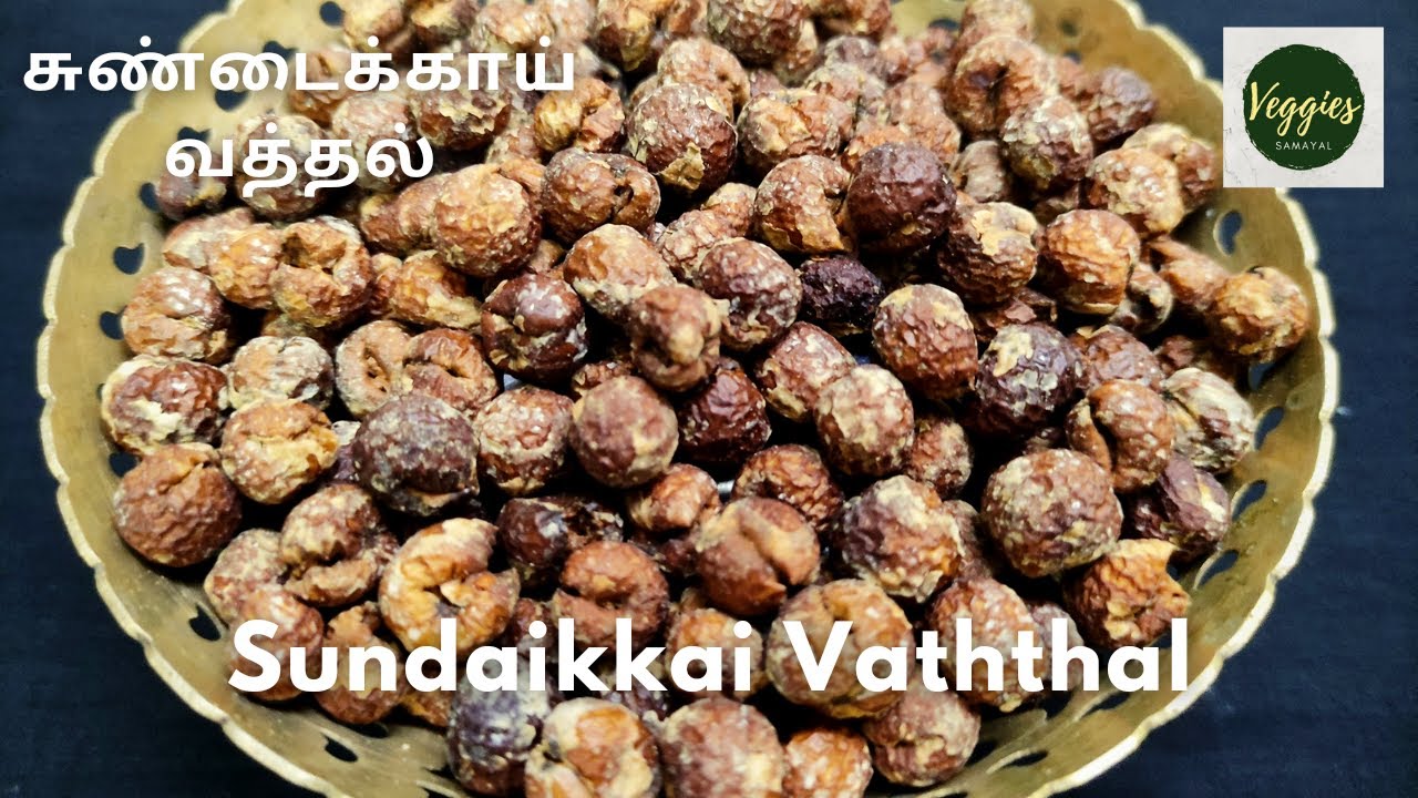 மருத்துவ குணம் நிறைந்த சுண்டைக்காய் வத்தல் செய்முறை | Sundakkai Vaththal recipe in Tamil