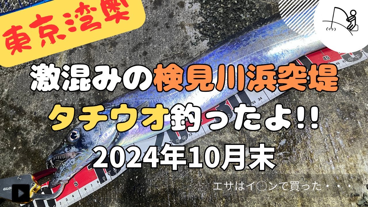 タチウオ釣れたよ!!! -検見川浜突堤- 【2024年10月末】
