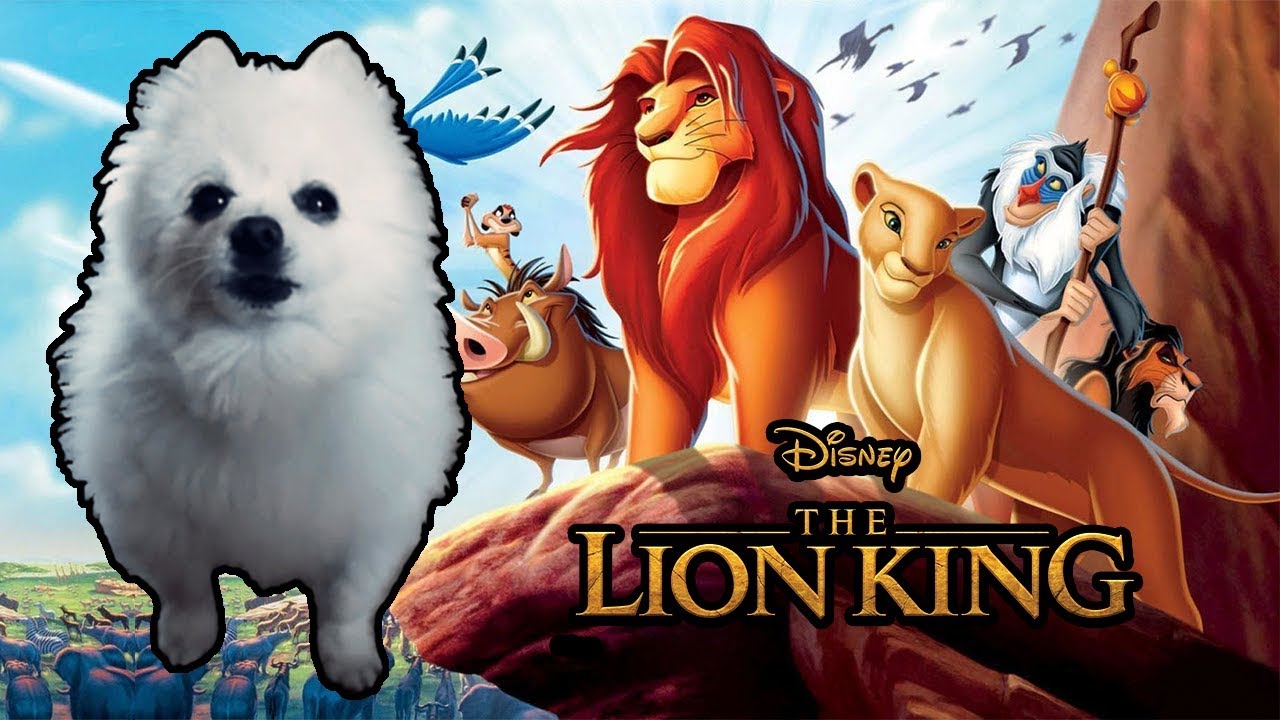 HAKUNA MATATA em CACHORRÊS