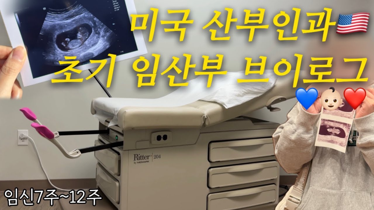 [미국 일상Vlog] 미국 산부인과 임신 진료🏥, 초기 임산부 임신증상(7주~12주차), 사설 초음파, 니프티 NIPT 검사, 입덧약💊, 코스트코 장보기, 트레이더조 에코백🍊🍓🥝