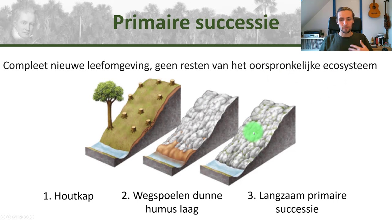 Bio bovenbouw - Successie, pionierecosysteem en climaxecosysteem Bio bovenbouw - Ecologie #4