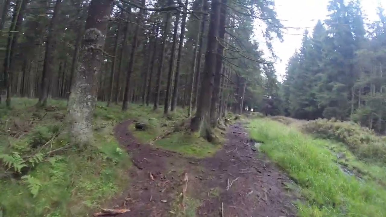 Harz 2014 Day 7 005 Bike Ride (Brocken)