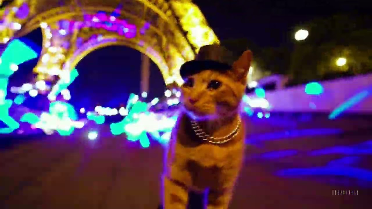 Rosa Lasser - Aerodynamix Practix