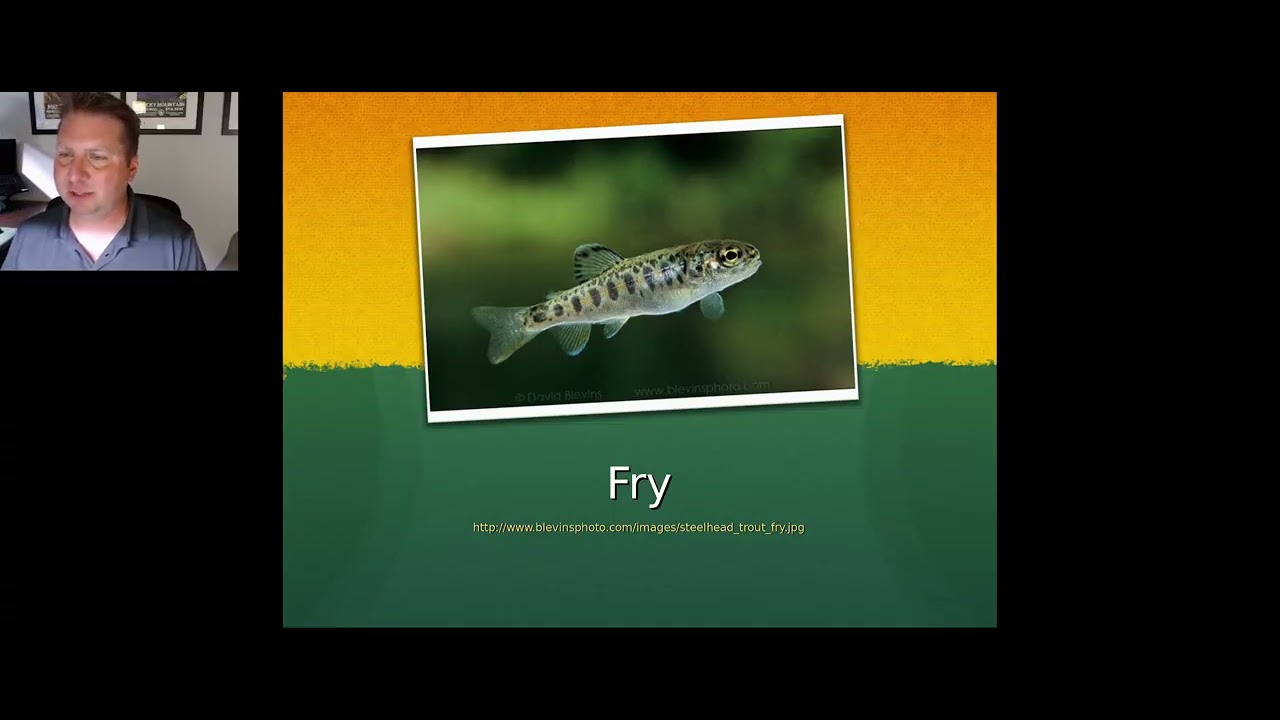 Introduction to Steelhead Fishing - October 2023