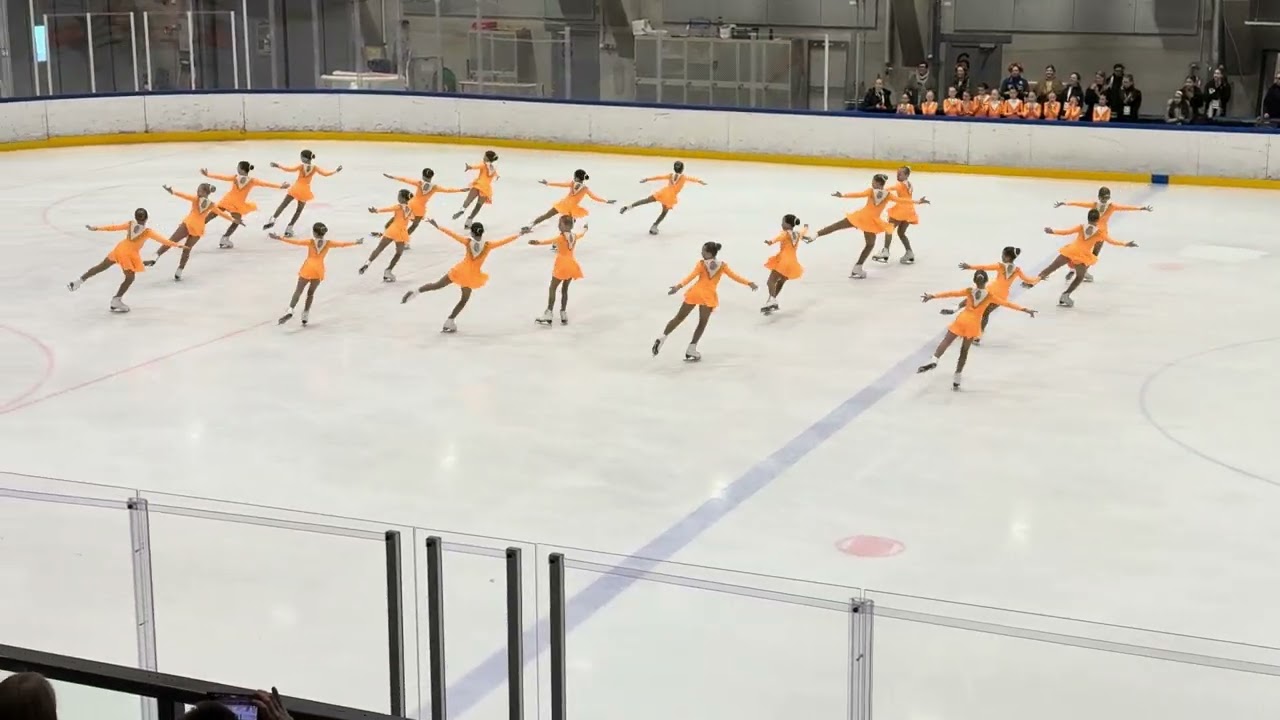 HL Sundlowers - HSK Que Synchro 2026 (7.3.2026)