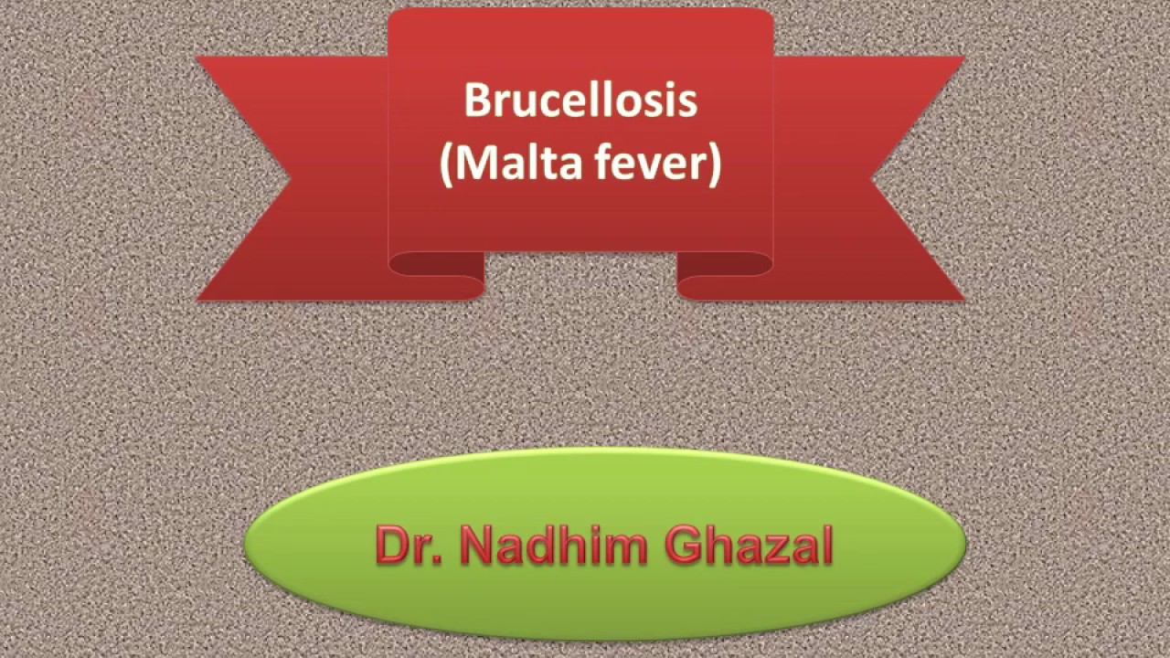 Fourth stage (Infectious diseases / Brucellosis Malta fever)