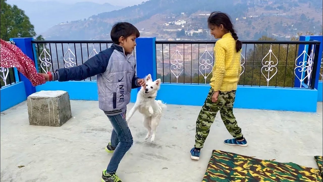 Piyush And Vaishnavi Playing With Oreo 😅
