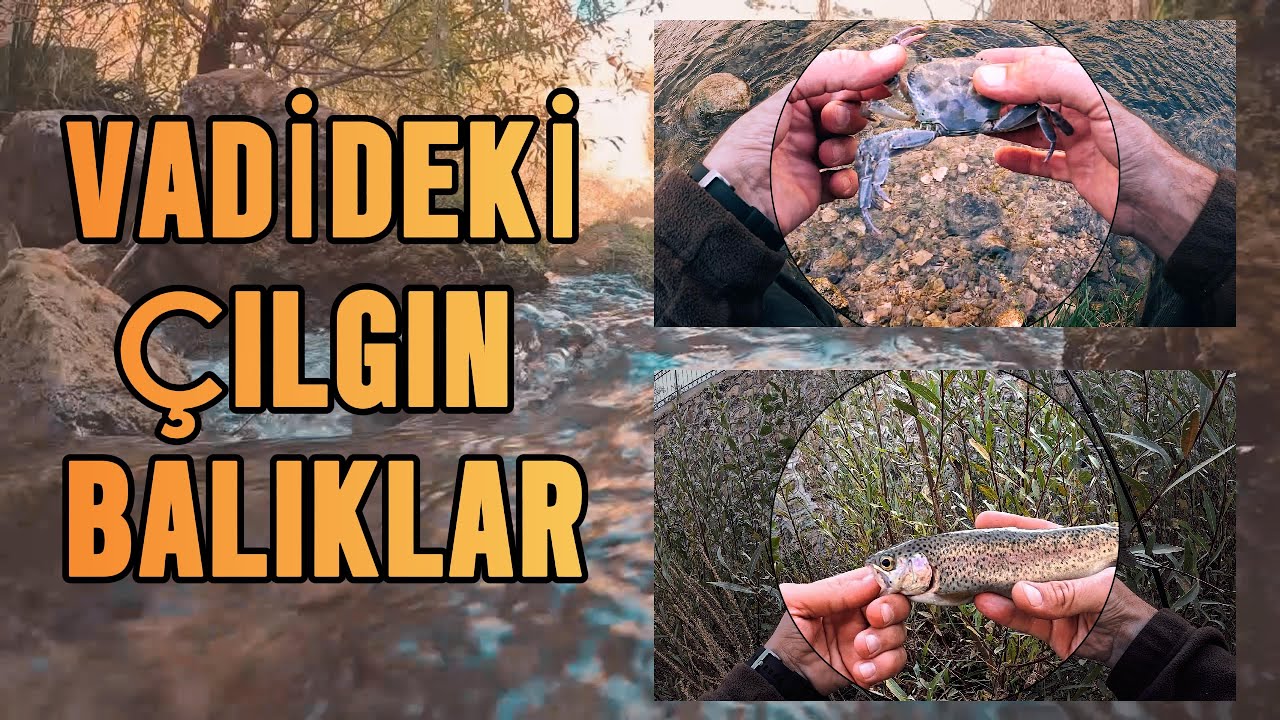 ALABALIK AVININ SIRRI!!