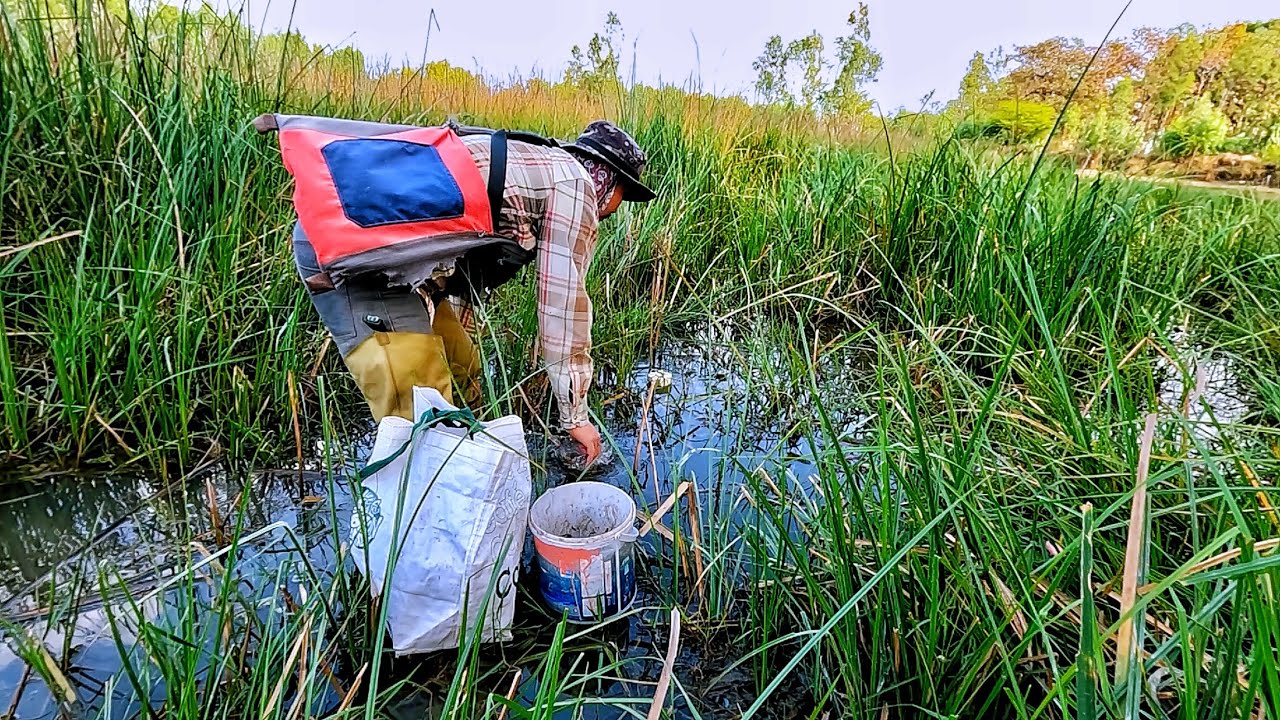 ใส่เบ็ดโฟมเหยื่อแมงกระชอนสูตรจมตามหาปลาดุกมาลุ้นกันครับ
