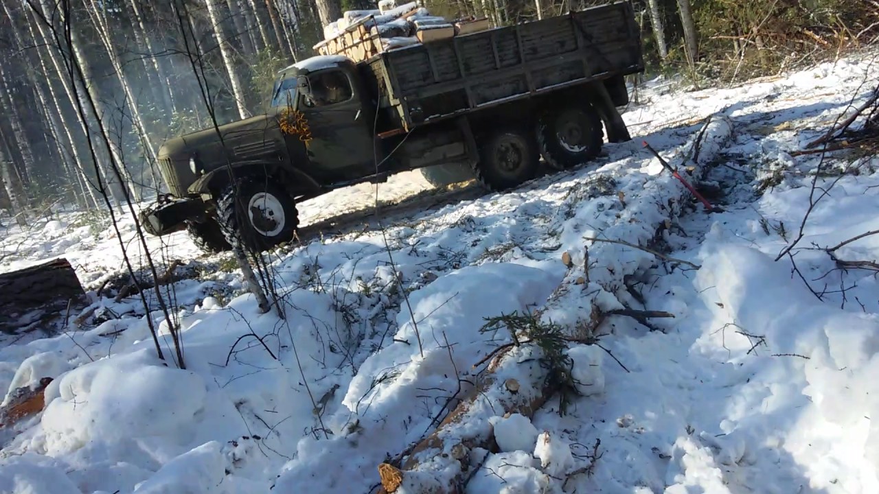 Зил в лесу