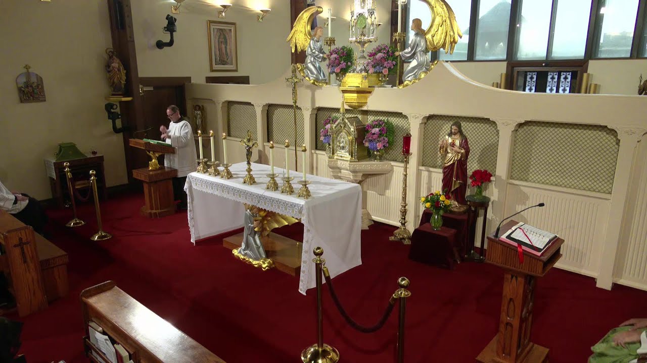 Daily Readings and Homily - 2025-06-26 - Fr. Joseph