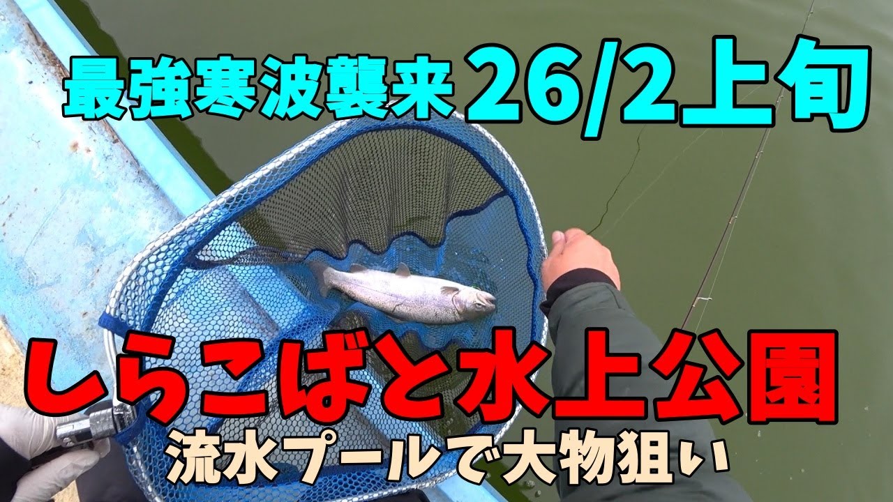 【しらこばと水上公園】26/2/7　最強寒波襲来で雪降る中流水プールで大物狙い！