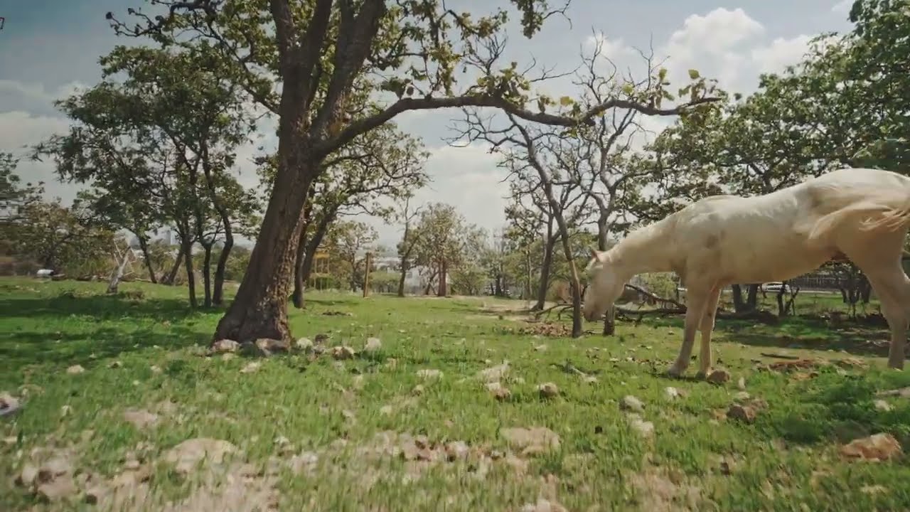 Vulture FPV 6 inch Quad + sony a6300 laowa 10mm f4 lens