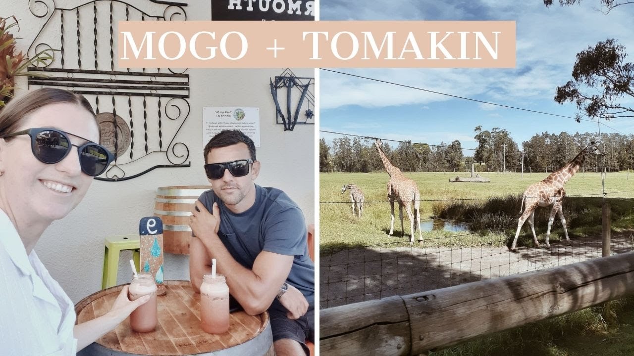 🌊 MOGO STAYCATION AND ADVENTURE | Tomakin and Mogo Zoo weekend day trip | Carly Morton