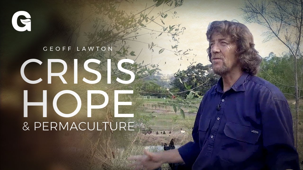 Permaculture to Aid our World in Crisis