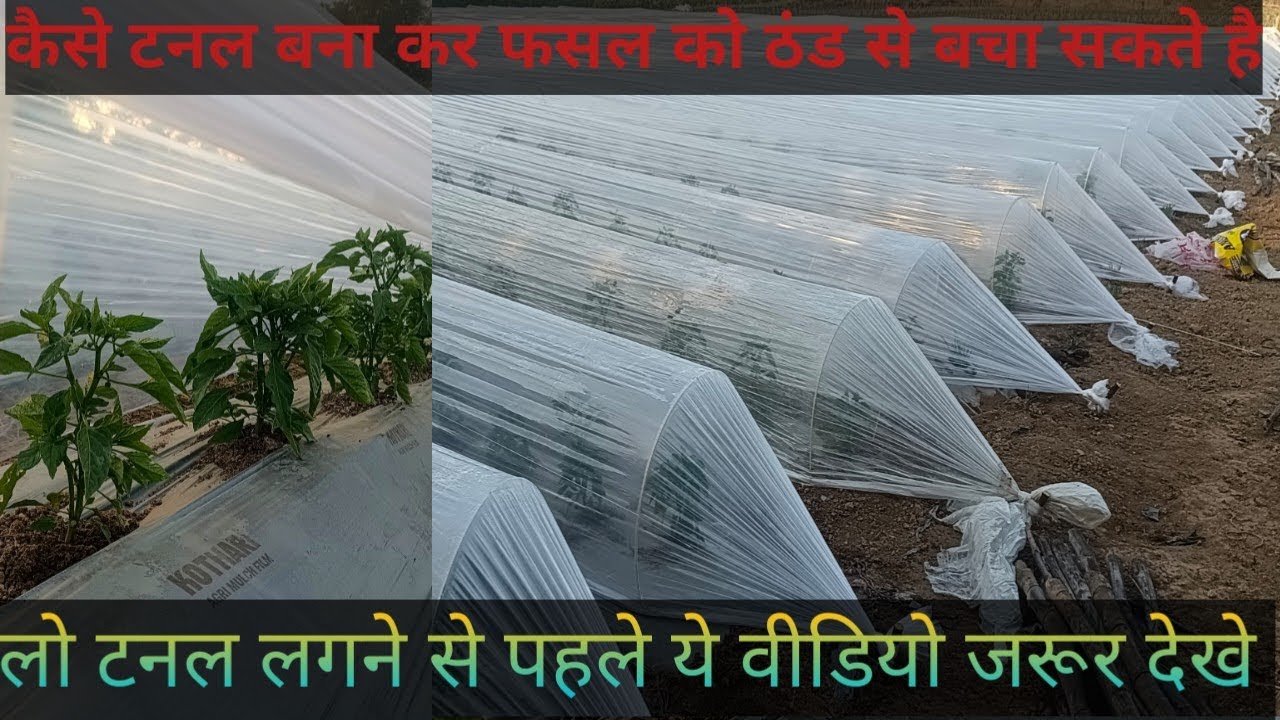 लो टनल कैसे 🤔बनते है, लो टनल के क्या👍 क्या फायदे है A toZ (पूरी👏जानकारी) इस 🎉वीडियो में दी जाएगी।👍
