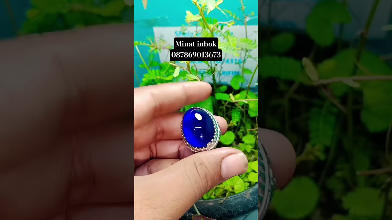 batu ciklop biru jumbo 