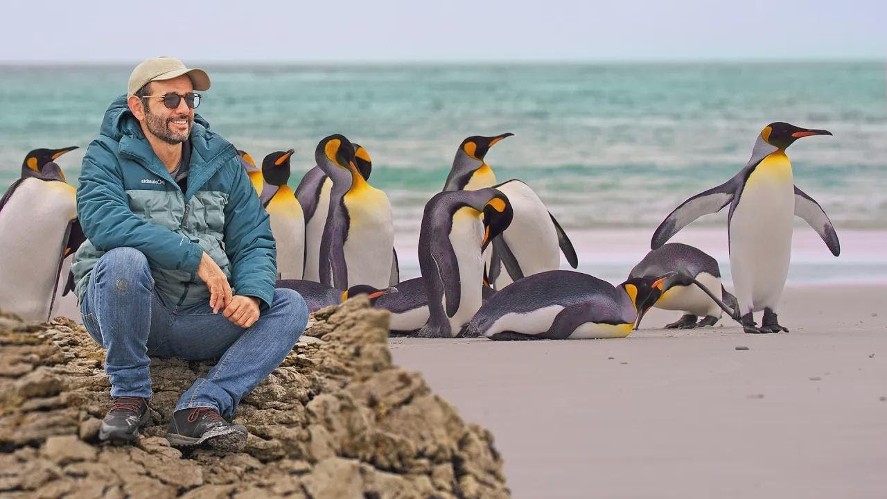 백만 마리 펭귄이 사는 신비로운 섬, 직접 가봤어요!