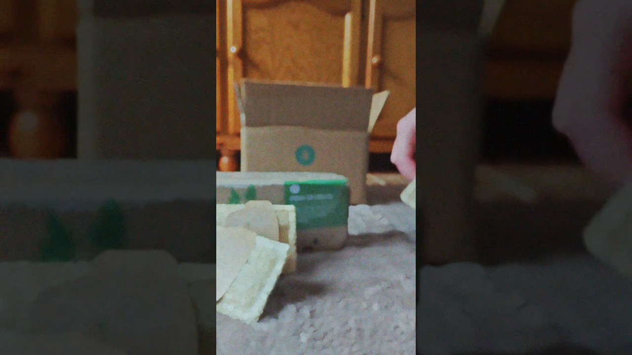 Estropajos y semilleros #luffa #planetahuerto #plantas #ecofriendly