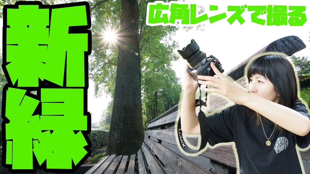 【写真撮影】Panasonic LUMIX G VARIO 7-14mm/F4.0 ASPH. を持って新緑の並木道を撮りに行ってきた【ともよ。】【オート先生】