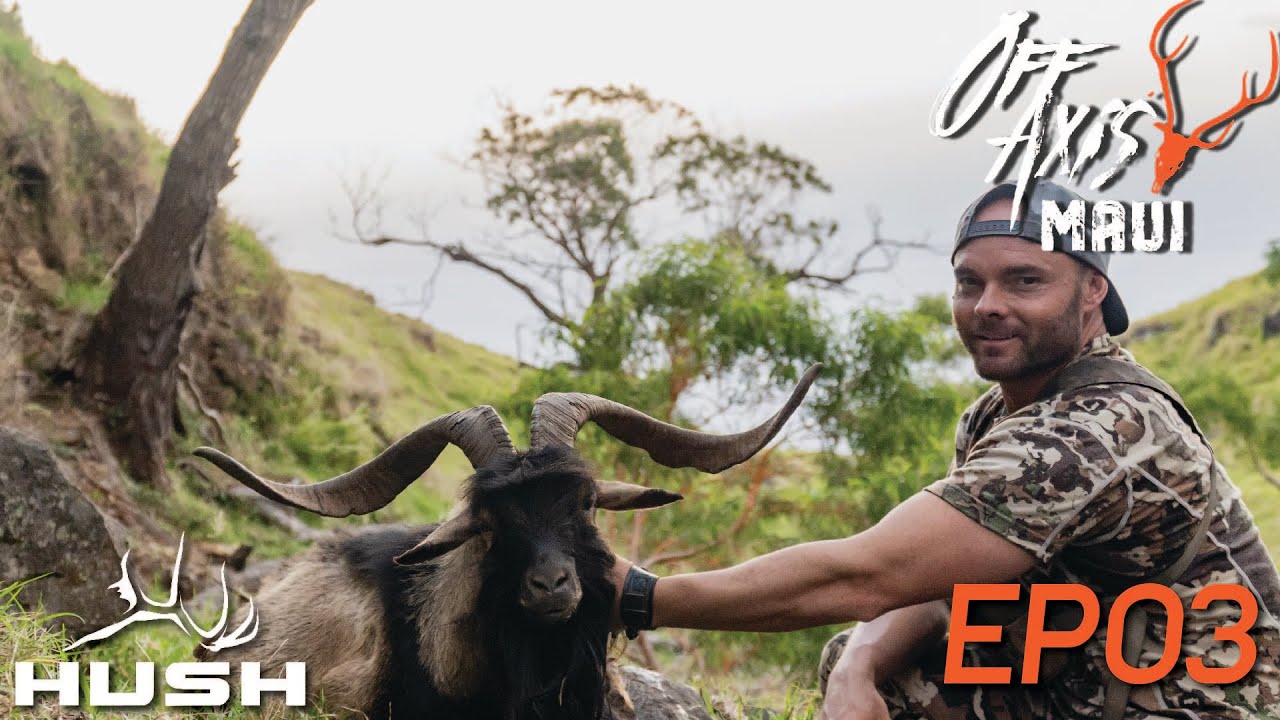 OFF AXIS | ARCHERY HUNTING HUNDREDS OF INVASIVE GOATS | S1E03