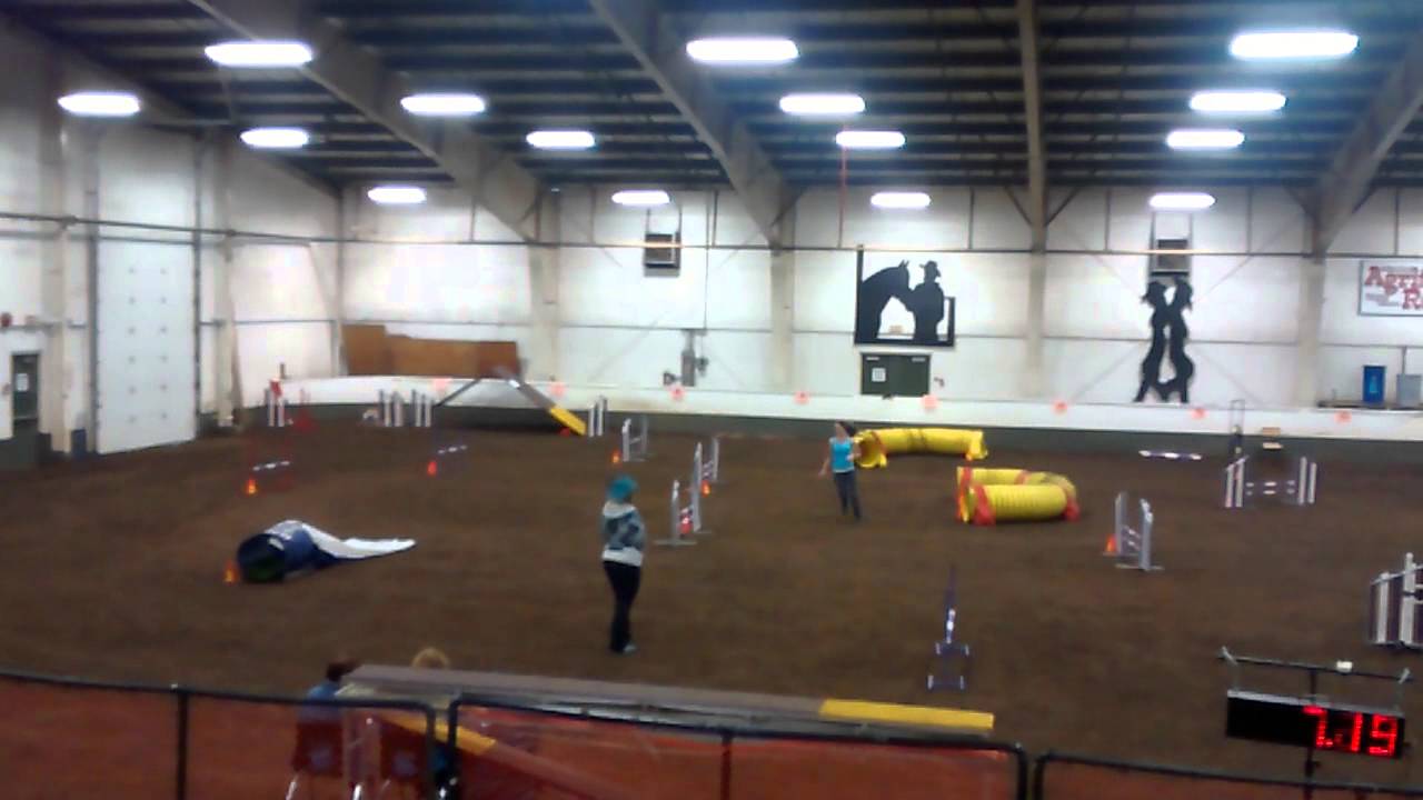 DWP Master Jumpers