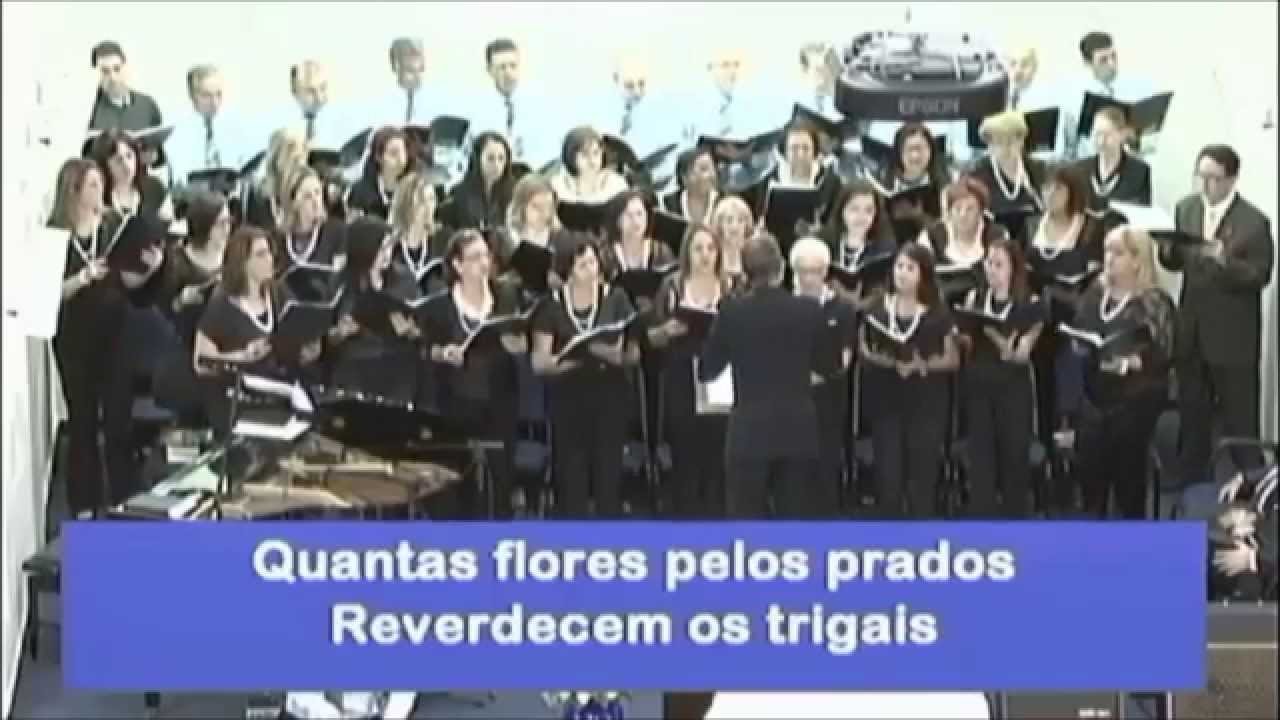 J&aacute; Chegou a Primavera