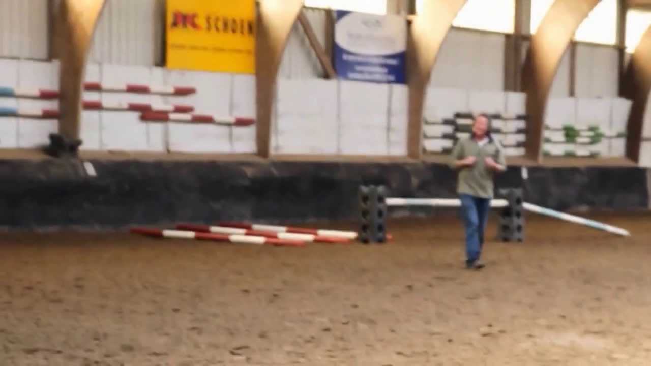 springles op manege Ars Longa