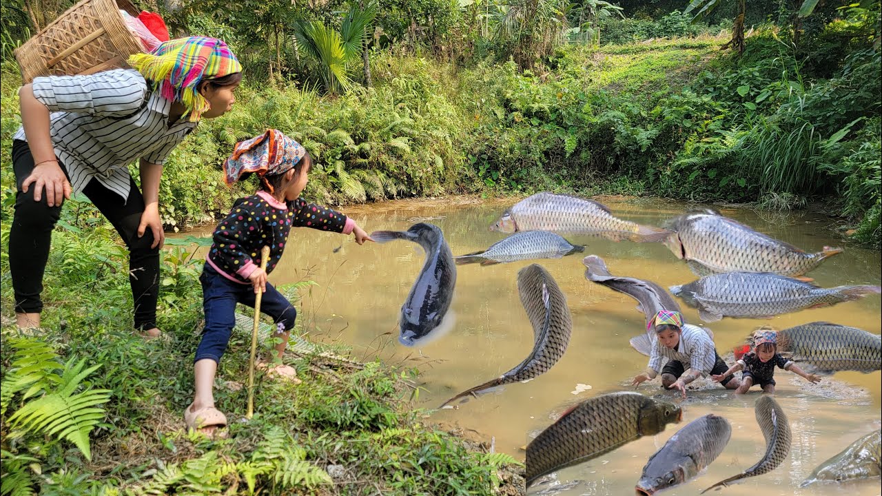 Meet giant fish in a lake. The girl used her fishing skills, catching a lot of giant fish.