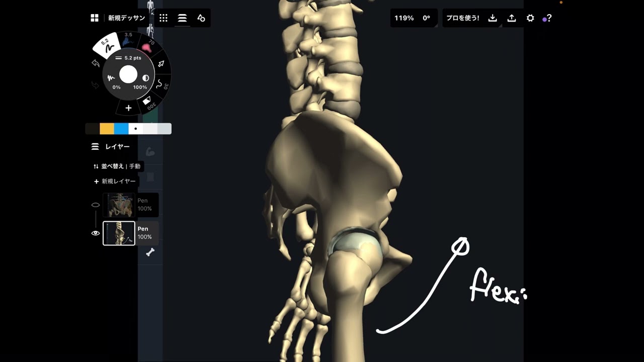 Quick overview lumbar, pelvis, hip complex