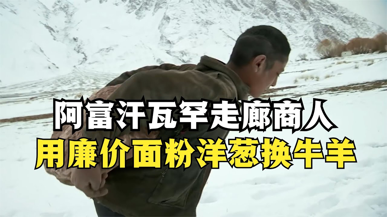 阿富汗瓦罕走廊商人，用面粉洋葱换牛羊，村民们还抢着要交易