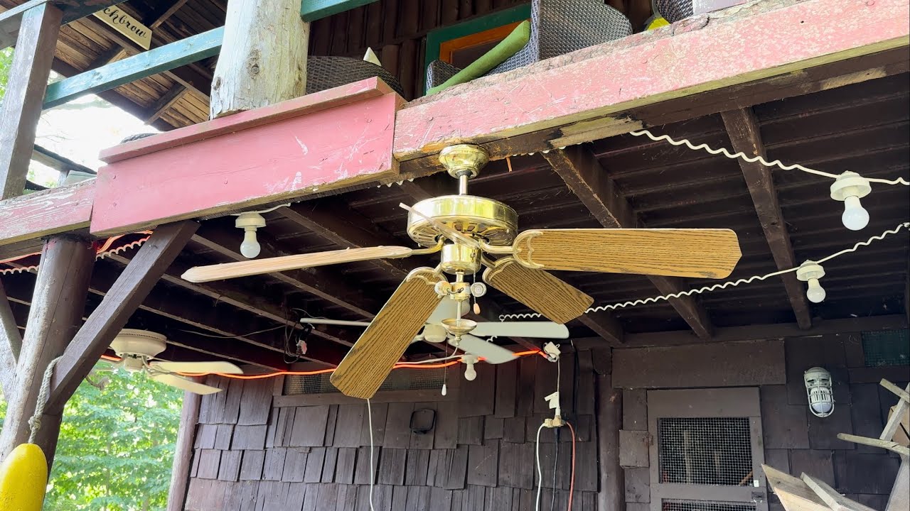 Ceiling Fan Destruction #79