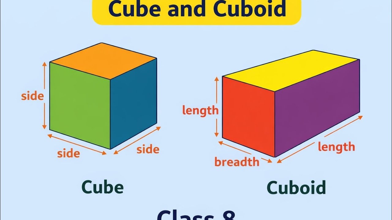 #surface area and volume #Mathematics calss 8 #explainedingbilingual