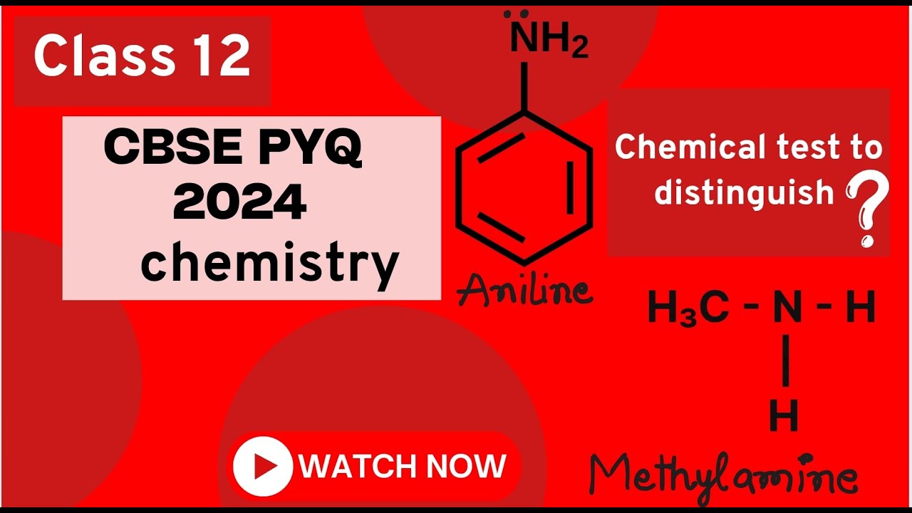 class12 PYQ 2024 Q32 (C) write a simple chemical test to distinguish between methylamine and aniline