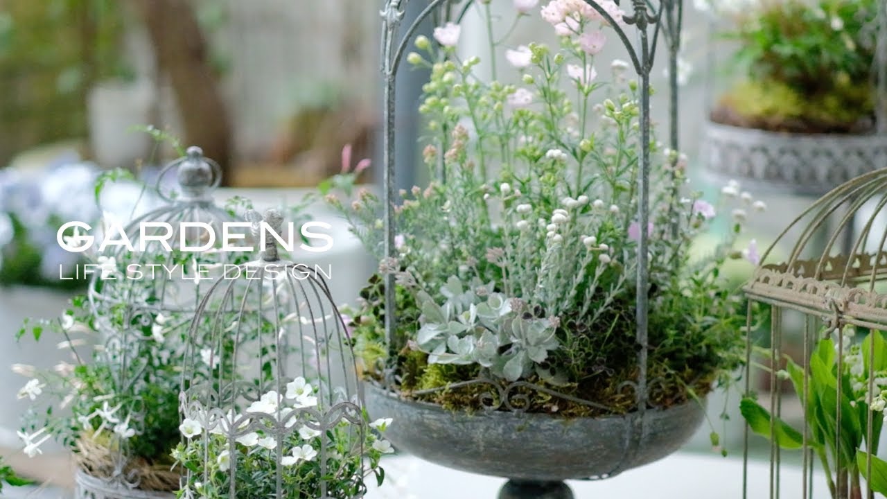 【GARDENS】鳥かごを使ったお庭のアレンジ５つ  | 春の寄せ植え |Birdcage and flowers. | 【ガーデンズ】