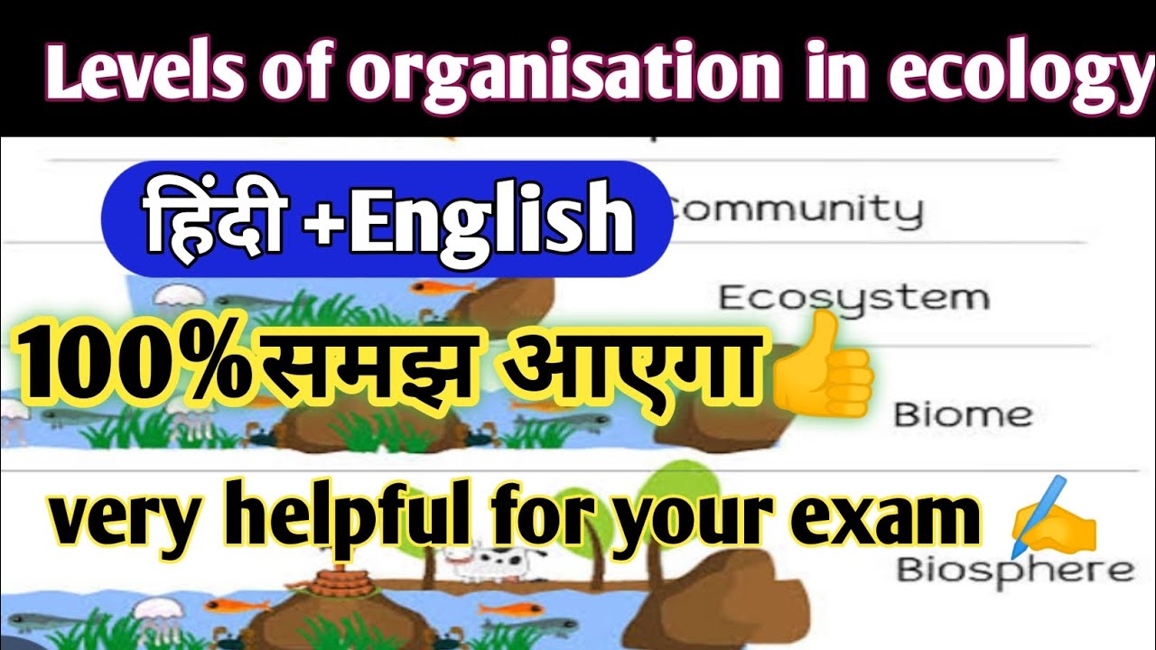 levels of organisation in ecology|ecology|levels of ecological organization bsc 6th semester