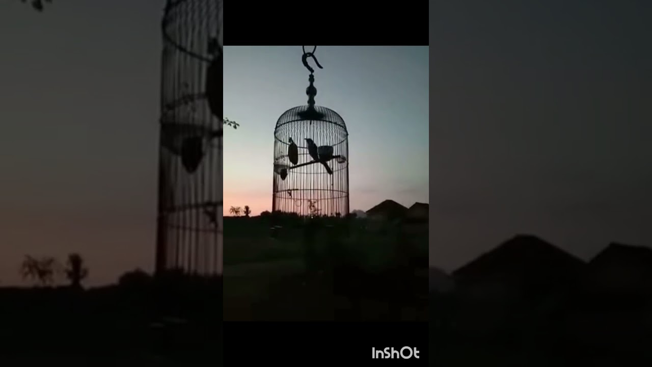 Terucuk ropel merdu simple