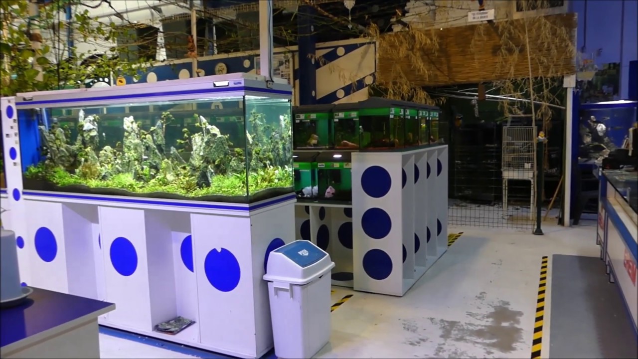 Así se encuentra Mundi Aquarium Center