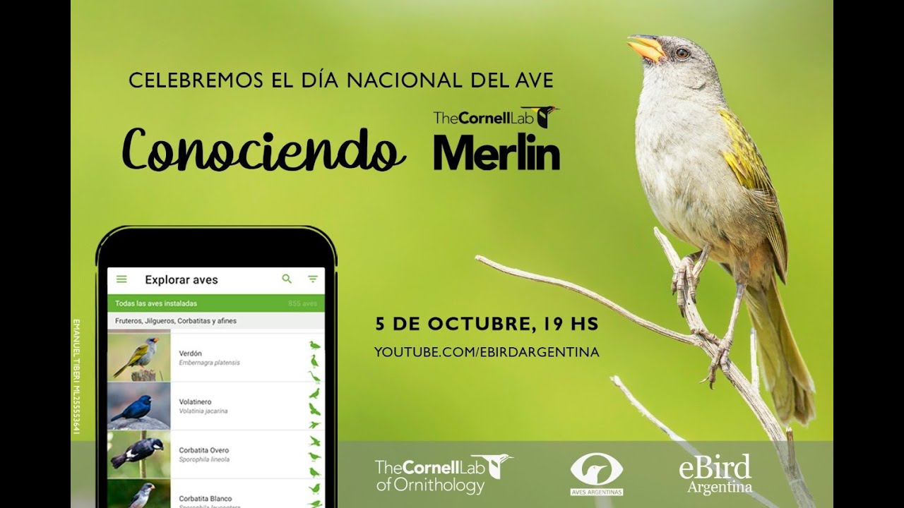 Presentación de la app Merlin