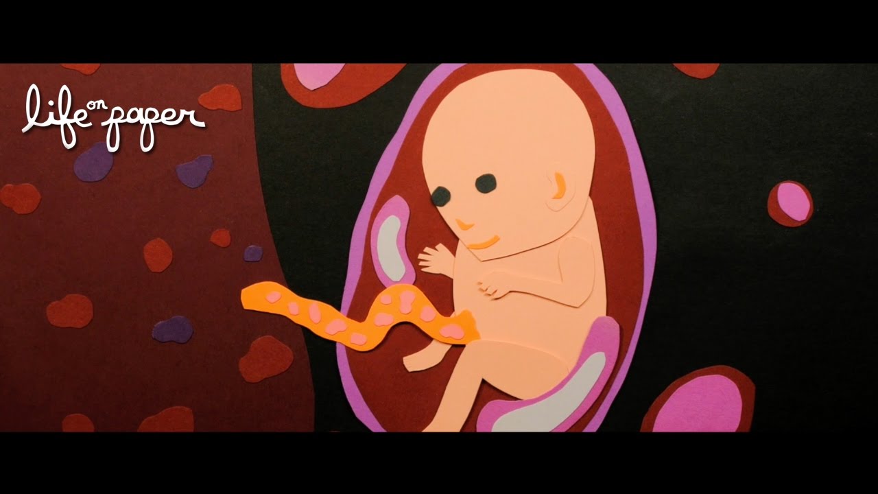 Life on Paper Full Film