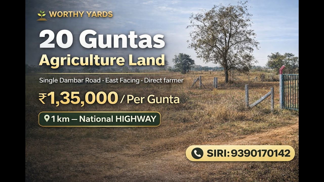 Siri:9390170142||BT Dambar Road BIT||Agriculture land for sale||20 Guntas #farming #agriculture #yt
