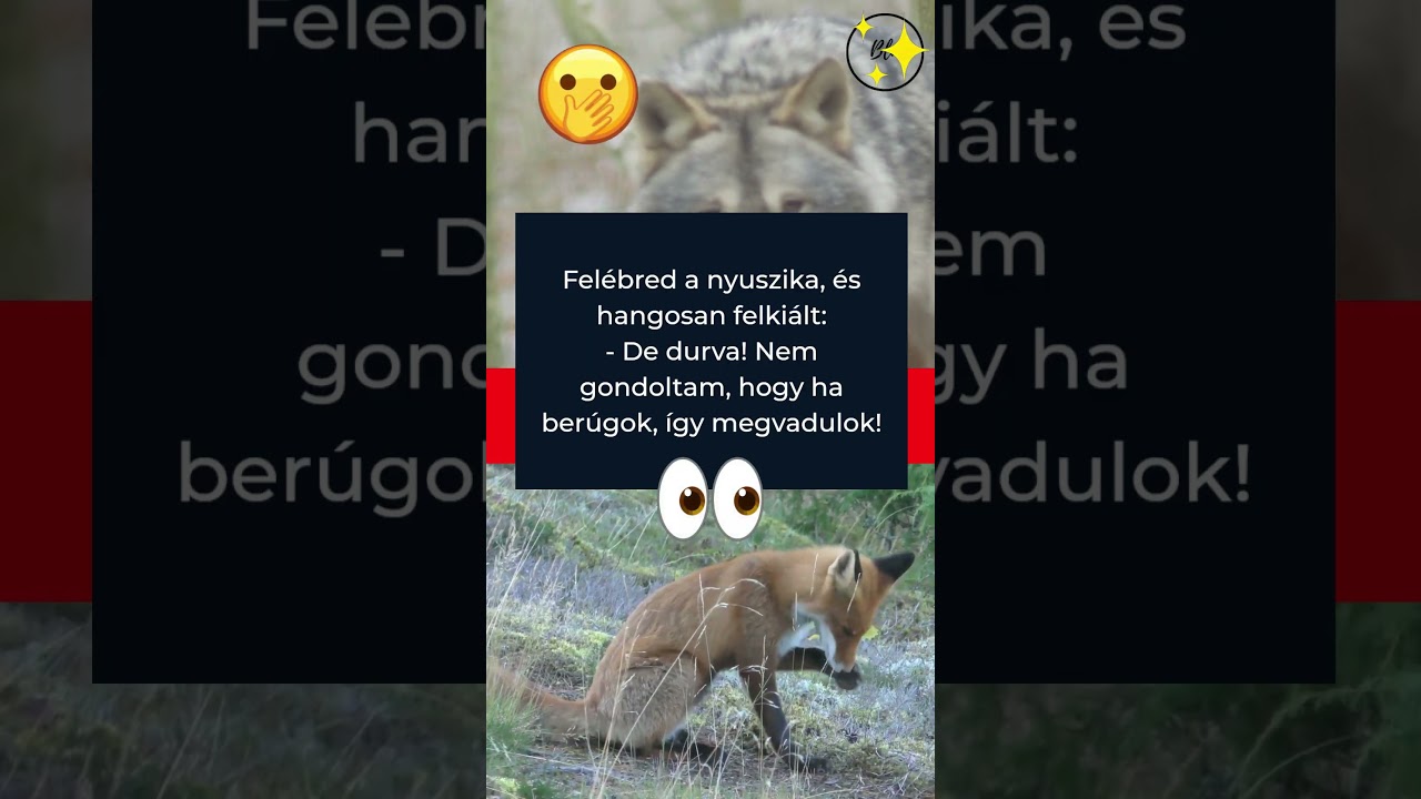 R&eacute;szeg nyuszika. #nyuszika #tiktok #vicces #aranyos #viccesvide&oacute;k #vicc #po&eacute;n #&aacute;llatok #mem #memes