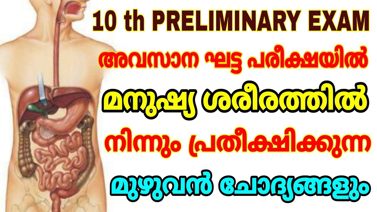 10 th PRELIMINARY EXAM I അടുത്ത പരീക്ഷയിൽ മനുഷ്യ ശരീരത്തിൽ നിന്നും വരാൻ സാദ്ധ്യതയുള്ള ചോദ്യങ്ങൾ