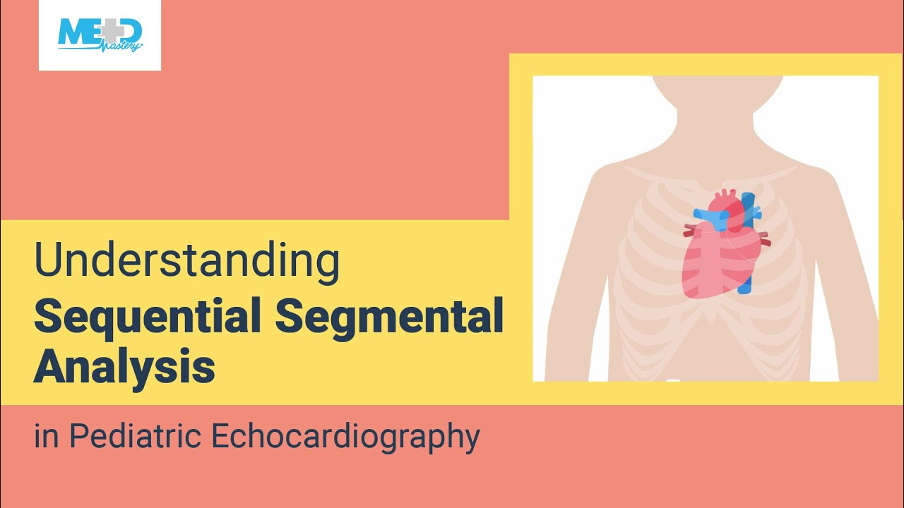 Understanding Sequential Segmental Analysis in Pediatric Echocardiography