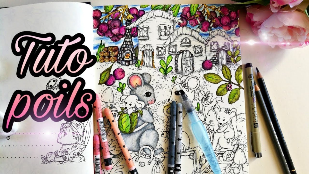 Tutoriel  poils avec néocolor 2 et polychromos.