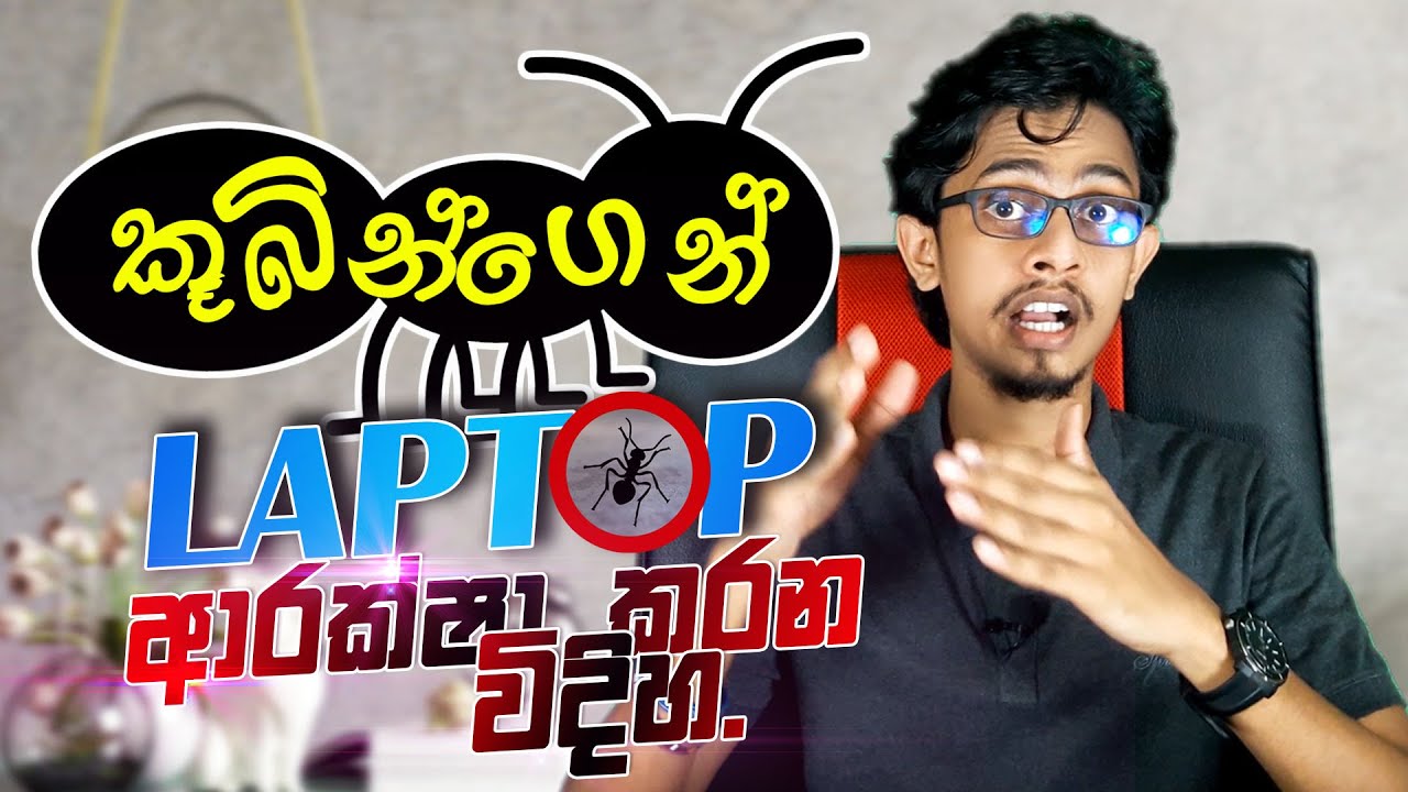 How to protect laptop from Ants - ලැප් ‌එකේ ඉන්න කූබි ඉවත් කරන ලේසිම විදිහ.