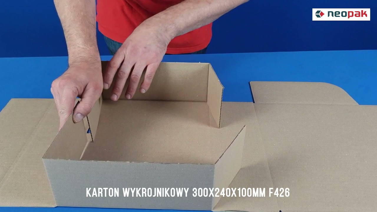 Karton wykrojnikowy 300x240x100mm f426
